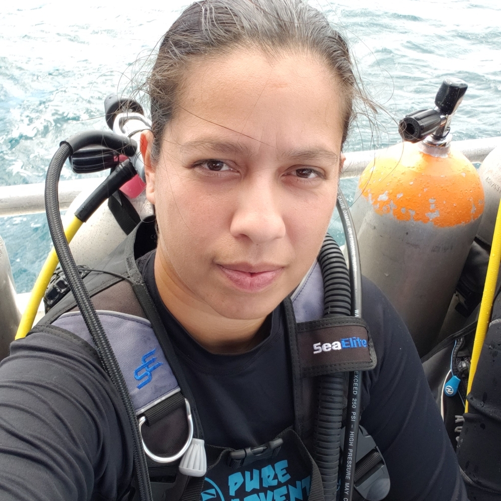 Meet your Posher, Turtle!